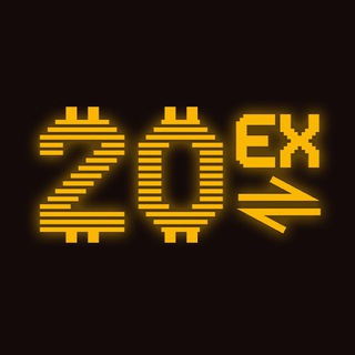 Project Logo - 20EX BRC