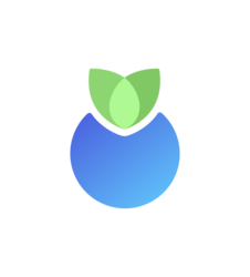 Project Logo - Blueberry