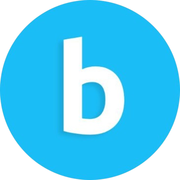 Project Logo - bitfinder